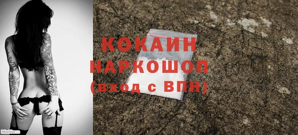 ешки Аркадак