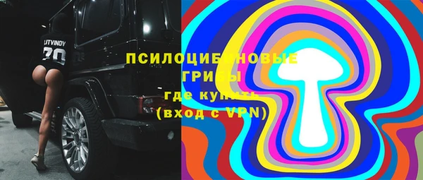 ГАЛЛЮЦИНОГЕННЫЕ ГРИБЫ Алексеевка