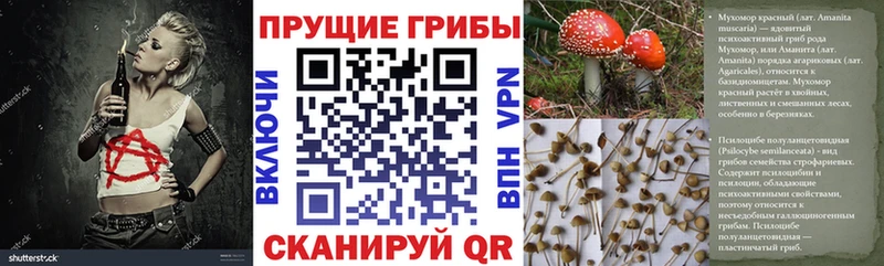 Галлюциногенные грибы GOLDEN TEACHER  Богданович 